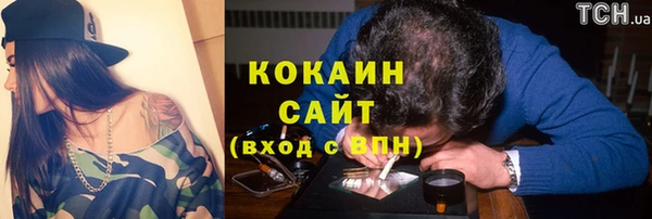 гидра Магас