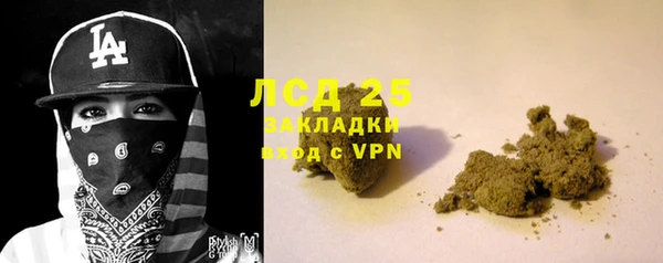 гидра Магас