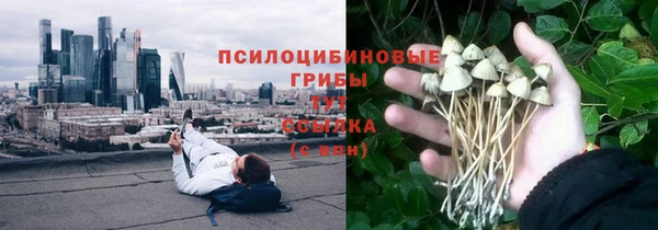 стаф Медногорск